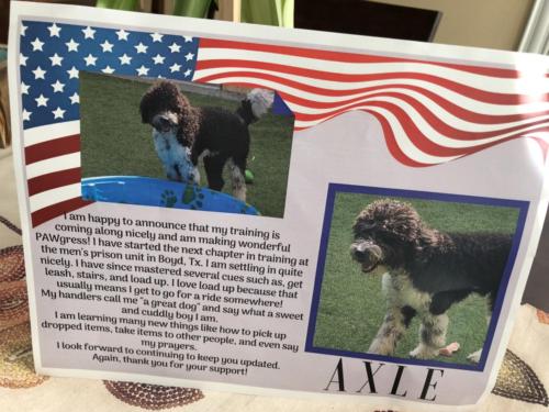 Toys for Tots - Dec 2018